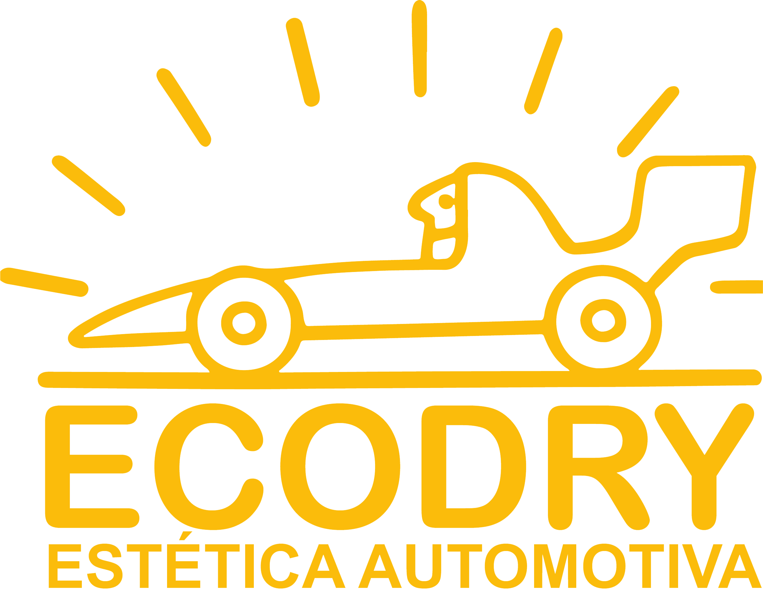 Ecodry Estética Automotiva